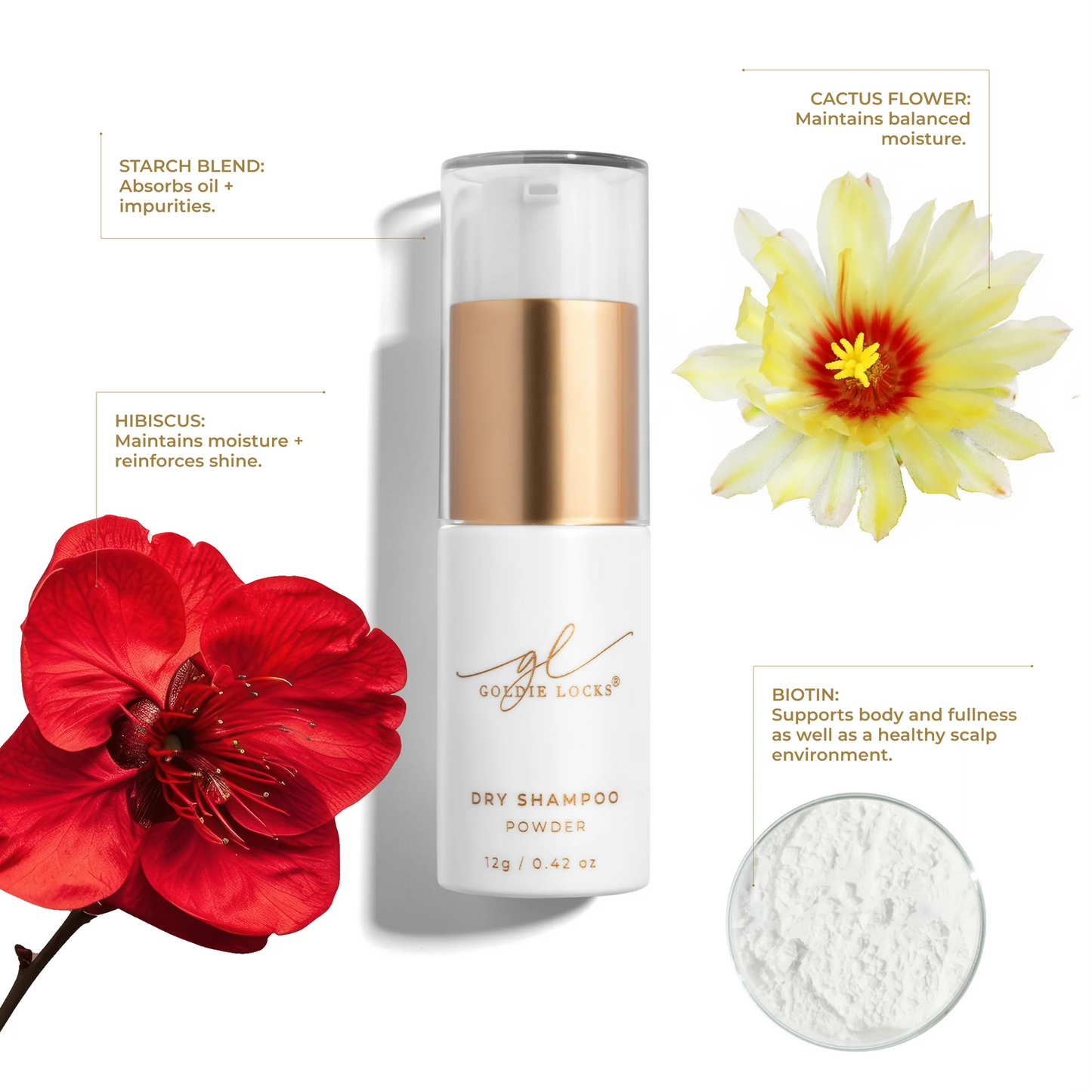 Goldie Locks | Dry Shampoo Powder