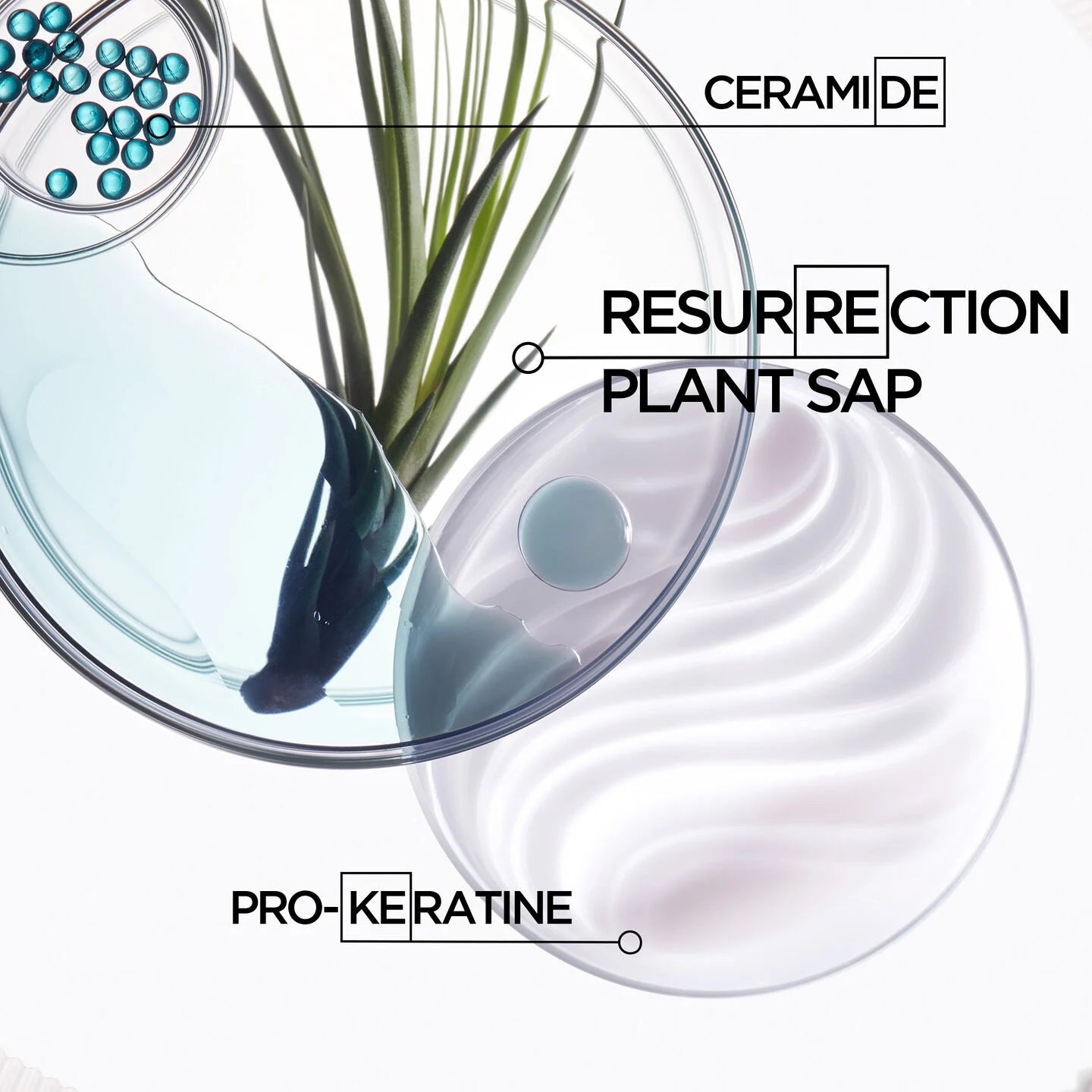 Kérastase | Resistance Ciment Anti-Usure Luxury Conditioner