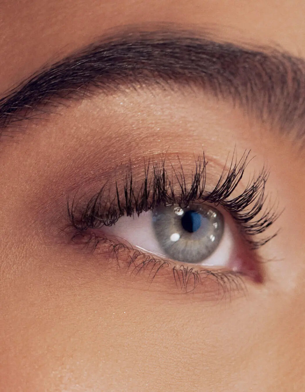 Revitalash® | Signature Eyelash Curler